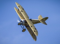 Tummelisa_jamiflyin_jorgennilsson