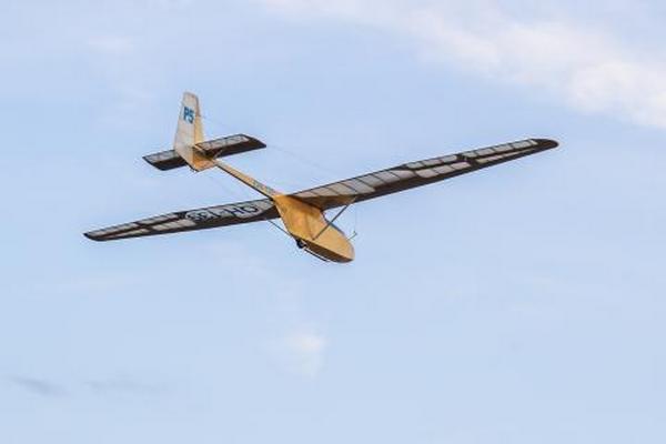 Vitonen_harrimustonen