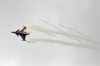 TDS_Gripen_3