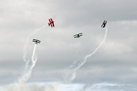 Malmi80_D1_ArcticEagles