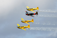 Team_50_Uppsala_2018