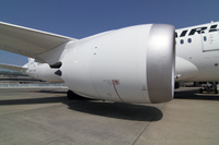 JAL_Dreamliner_7