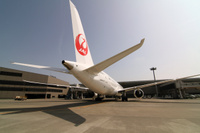 JAL_Dreamliner_12