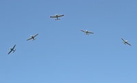 FIAS_skybirds_2