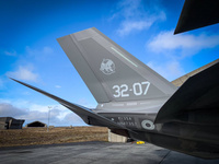 Italy_F35_tail_iceland
