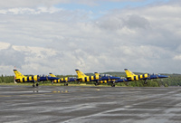TDS_BalticBees_TO_1
