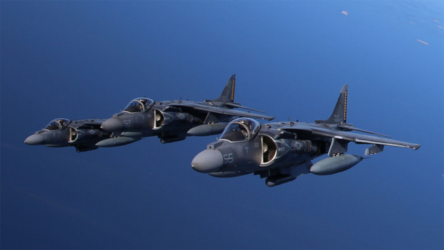 Harrier_5